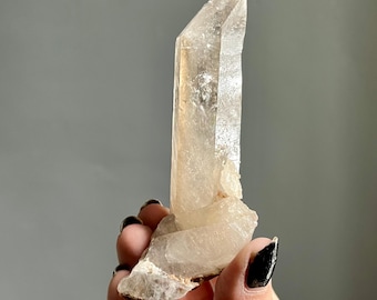 Master Record Keeper Natural Citrine Crystal Point from Brazil | Rare Find | High Quality Untreated Citrine Trigonic Quartz Cluster