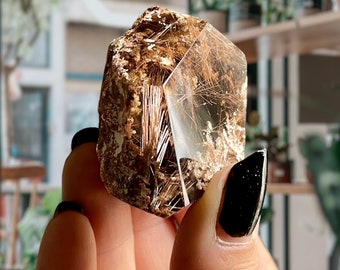 Gold Rutile Citine Inclusion Quartz | Shamanic Dream Rutilated Quartz Crystal Freeform | Electric Star Rutile | Chlorite & Hematite