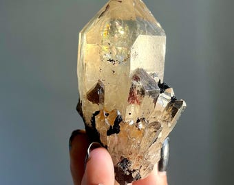 The Spirit of Specimens