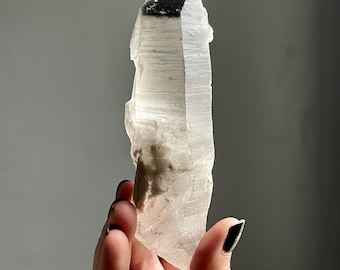 Curved Black Phantom Lemurian Quartz | Self Healed Channeling Crystal Point | Touemaline, Record Keepers