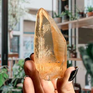 Golden Lemurian Seed Crystal Point w/ Tangerine Quartz Patina | Golden Healer Lemurian Quartz w/ 8 Sided Grounding Shovel Tip