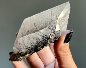 Master Black Tourmaline Lemurian Quartz Record Keeper | Rutilated Crystal | Diamantina Brazil
