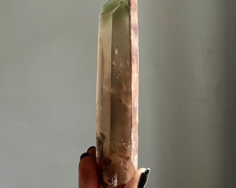 Pink Lithium Green Phantom Citrine Quartz | 6" Lemurian Laser Dow Crystal Point