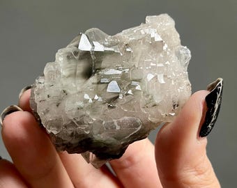 Elestial Blue Tara Nightshade Quartz | Indicolite + Black Reibeckite Tourmaline Rutile | Black Tara Quartz Crystal Specimen