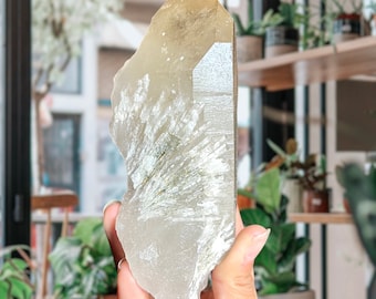 729g BG3 Citrine Adaptogenic Quartz + Record Keepers | Rare Find | Natural Citrine Crystal Point w/ Barite + Time Link | Ouro Fino