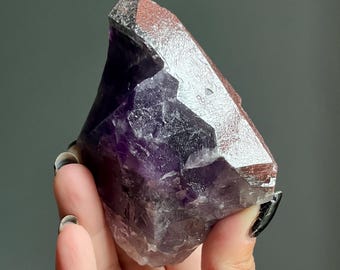 The Spirit of Specimens