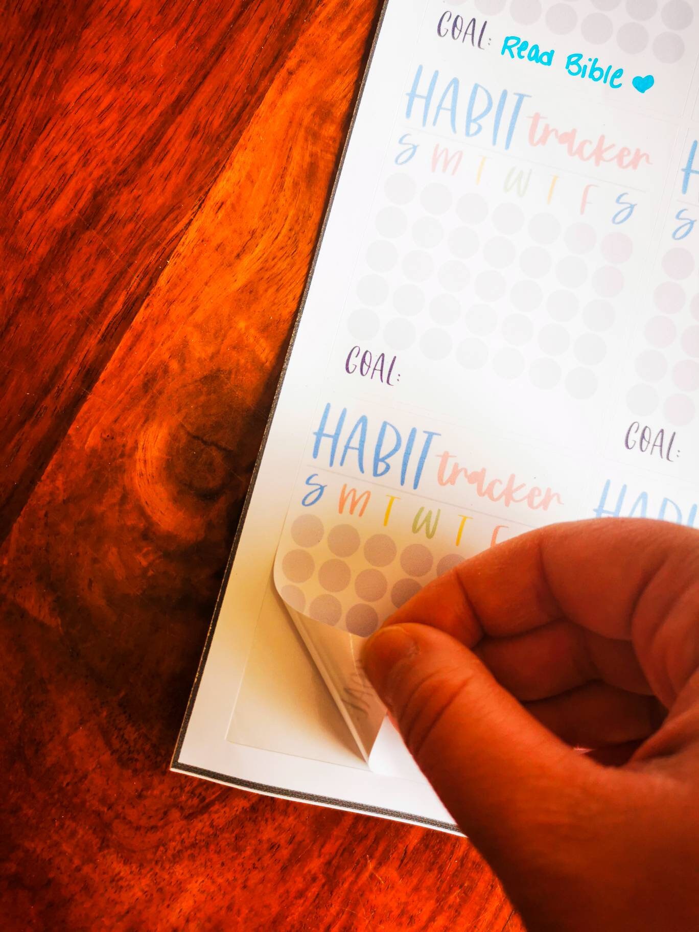Monthly Habit Tracker Stickers for Planner 6 per Sheet - Etsy