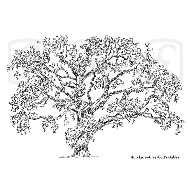 Classic California Oak Tree Printable, Wall Art, Winery, Native Landscaping, Naturalist, Trees, Landscape