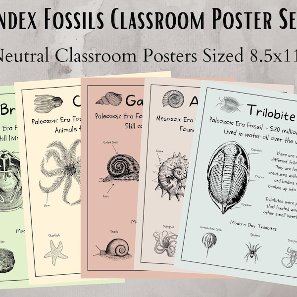 Index Fossil Classroom Poster Set, Science Classroom Décor, Science Teacher, Anchor Chart, bulletin board, science notebooks, learning chart