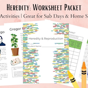 Heredity & Genetics Life Science Worksheet Packet for Middle School Science Class, Homeschool Curriculum, Sub plan, Printable, Teacher