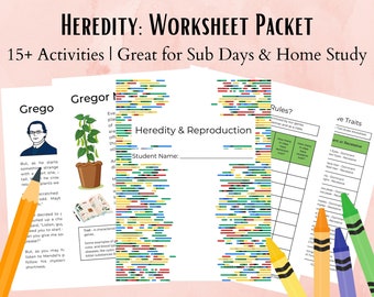 Heredity & Genetics Life Science Worksheet Packet for Middle School Science Class, Homeschool Curriculum, Sub plan, Printable, Teacher