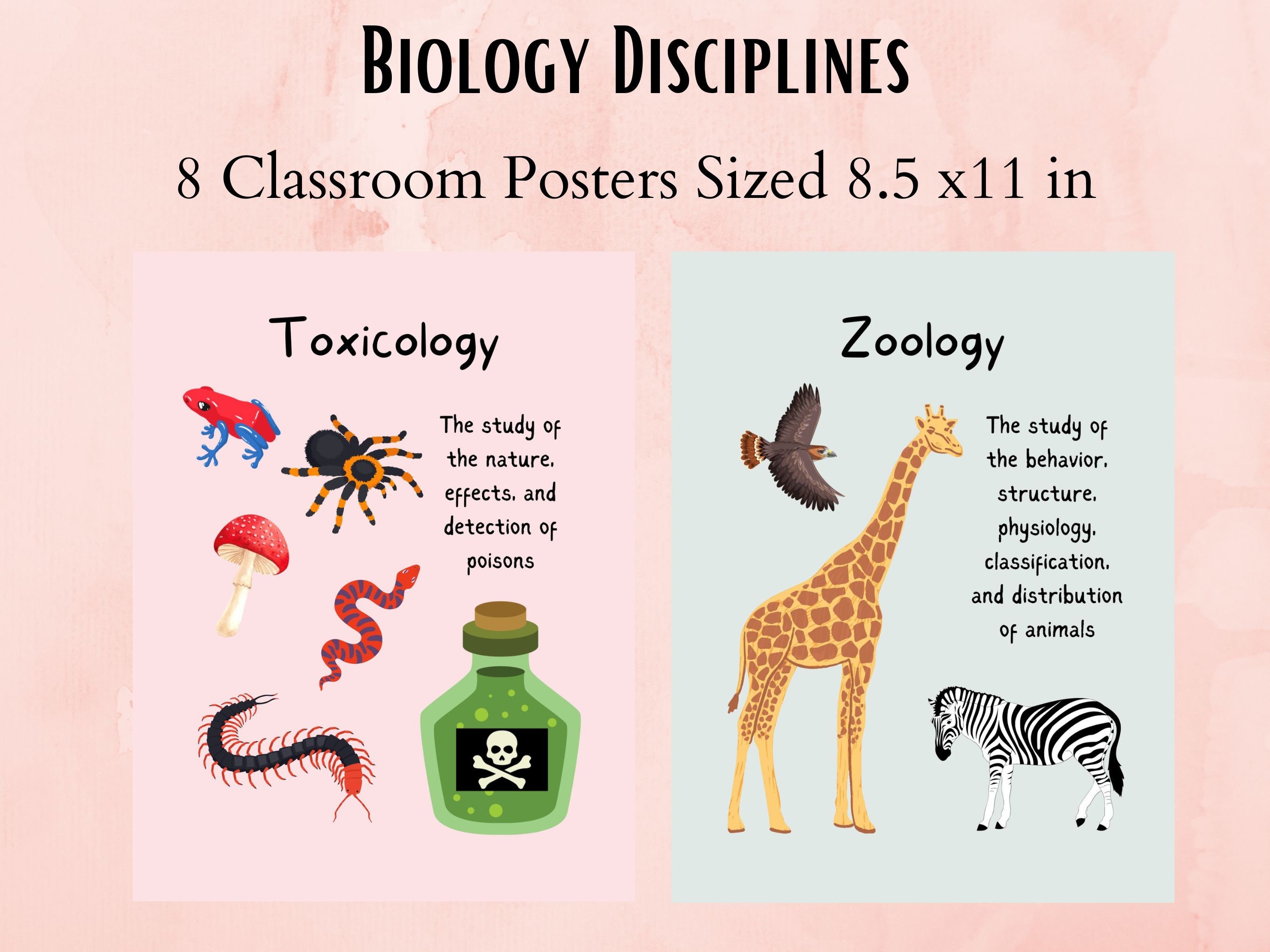 Biology Classroom Poster Set, Biology Careers, STEM, Disciplines ...
