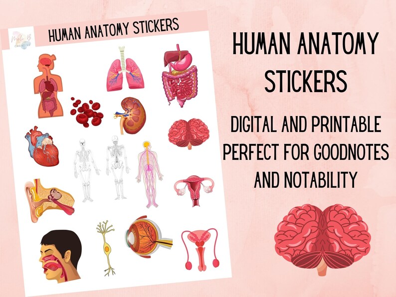 Nursing Sticker Bundle. Digital Sticker Sheet for Science - Etsy