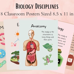 Biologie klas poster set, biologie carrière, STEM, disciplines, wetenschapsleraar, middelbare school wetenschap, thuisschool, klasse Bulletin Board