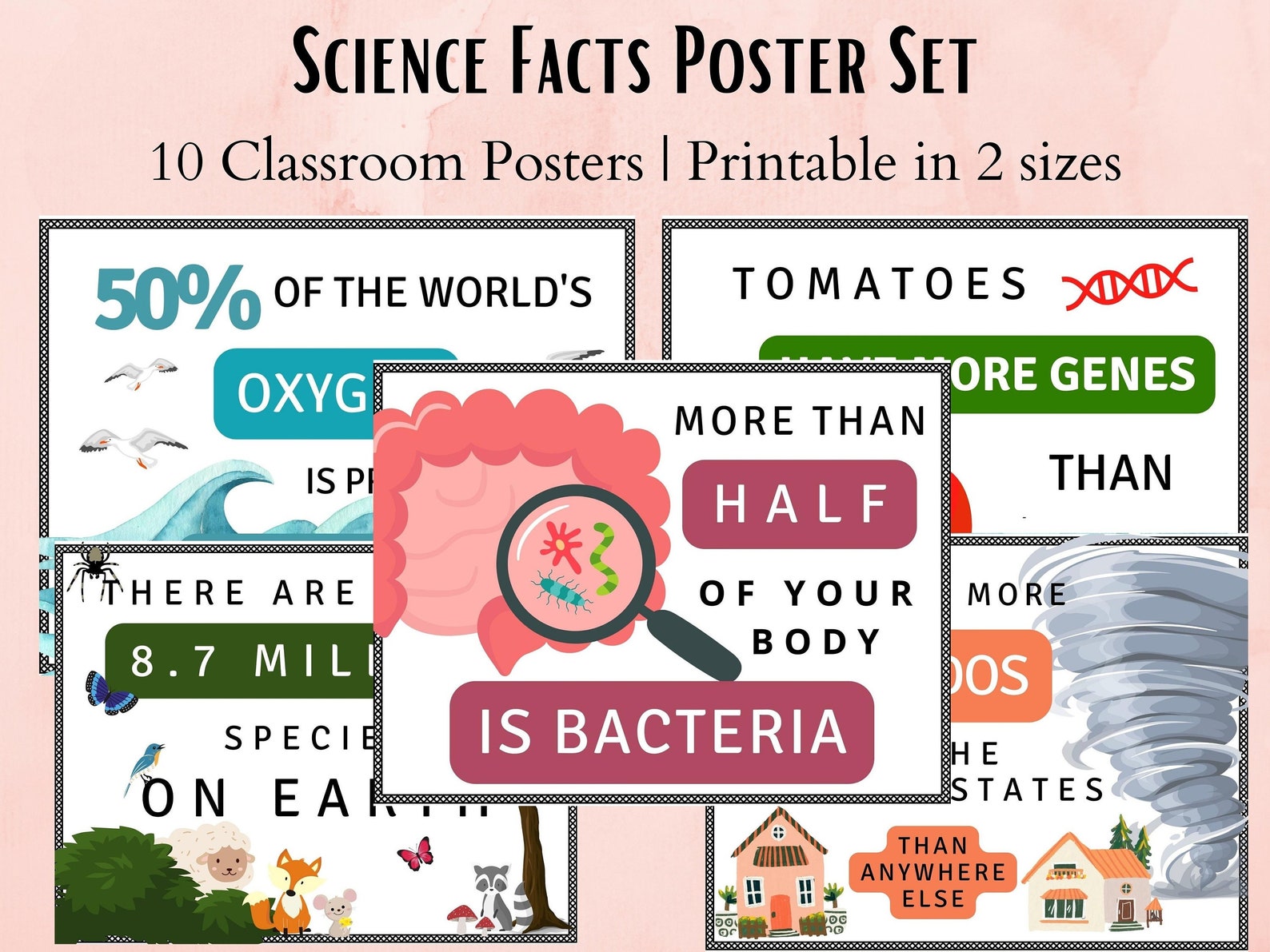 Fun Science Facts Classroom Poster Set V2, Science Classroom Décor