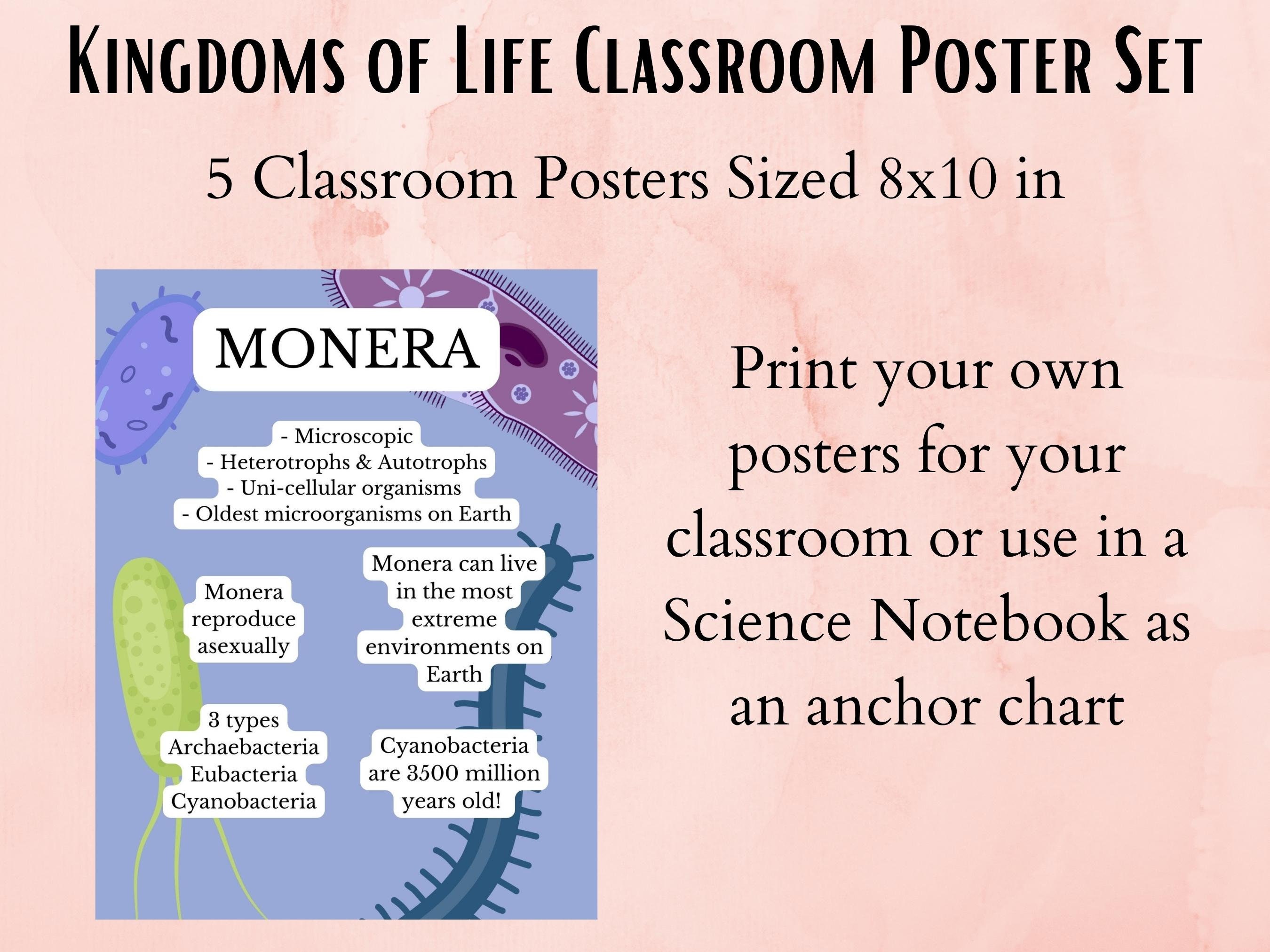 Kingdom of Life Science Classroom Poster Set, Biology Classroom, Classroom  Decor, Science Teacher, Science Poster, Anchor Chart, Printable - Etsy