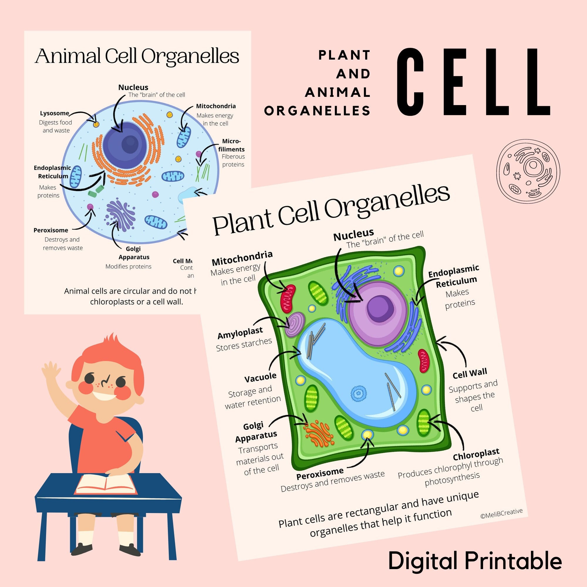 Plant and Animal Cell Classroom Posters Organelles Science - Etsy Plant and Animal Cell Classroom Posters Organelles Science - Etsy