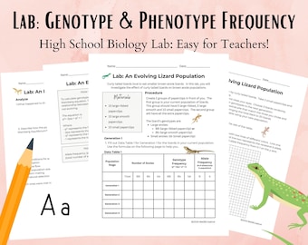 Lab: Genotype and Phenotype Frequency, High School Biology Worksheet, Lesson, Science Teachers, Homeschool,
