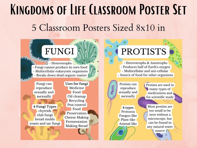 Kingdom of Life Science Classroom Poster Set, Biology Classroom ...
