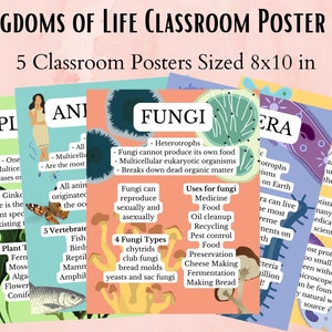 Kingdom of Life Science Classroom Poster Set, Biology Classroom, Classroom Decor, Science Teacher, Science Poster, Anchor Chart, Printable