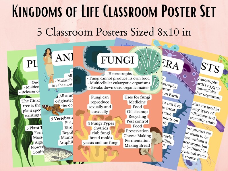 May include: Five colorful classroom posters, each 8x10 inches, illustrating the five kingdoms of life: Plants, Animals, Fungi, Bacteria, and Protists. Each poster features a colorful illustration of organisms from that kingdom and a list of key characteristics.