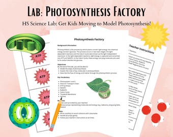 Fábrica de fotossíntese: kit de laboratório interativo em sala de aula, planilha de biologia, aula de ensino médio, professores de ciências, STEM, currículo NGSS