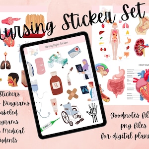Nursing Sticker Bundle. Digital Sticker Sheet For Science, Biology, Anatomy, Nursing Stickers, Human body, Medical school, GoodNotes Sticker