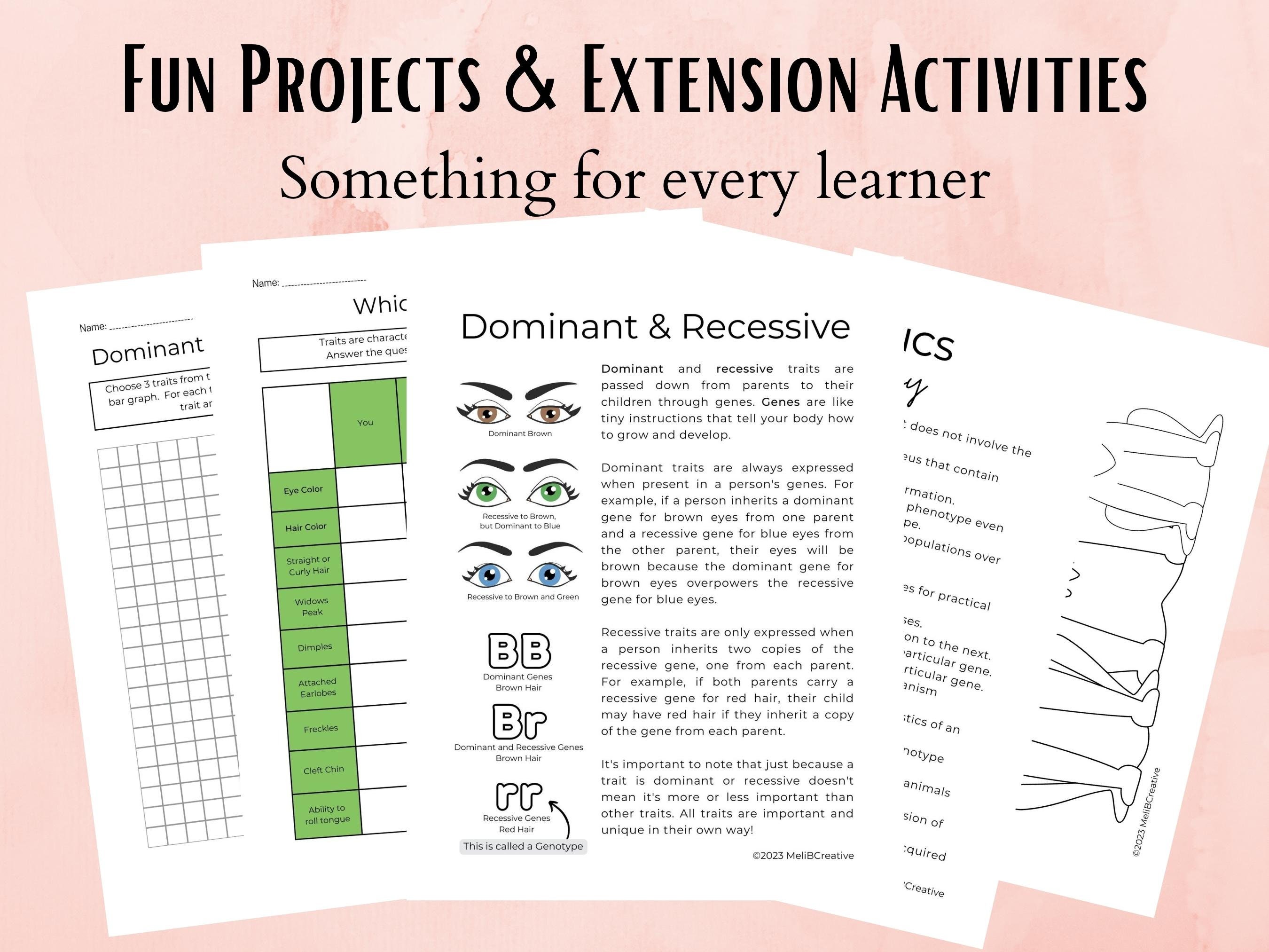 Paquete de hojas de trabajo de ciencias biológicas de herencia y genética  para la clase de ciencias de la escuela secundaria, plan de estudios de  educación en el hogar, subplan, imprimible, maestro -, image size:2700x2025
