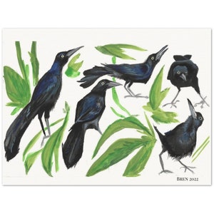 Póster de papel mate con calidad de museo de Gouache Grackles