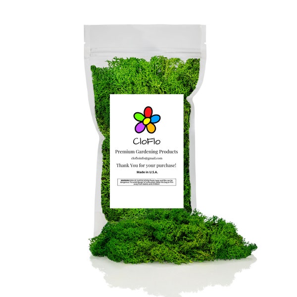 CloFlo Premium Dyed Reindeer Moss - Dried Preserved Moss in Alligator Green - Collected & Cleaned by Hand - Made in USA