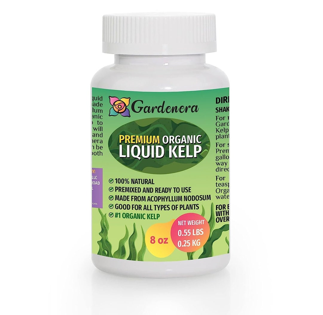 Premium Organic Liquid Kelp Fertilizer by GARDENERA Seaweed Fertilizer