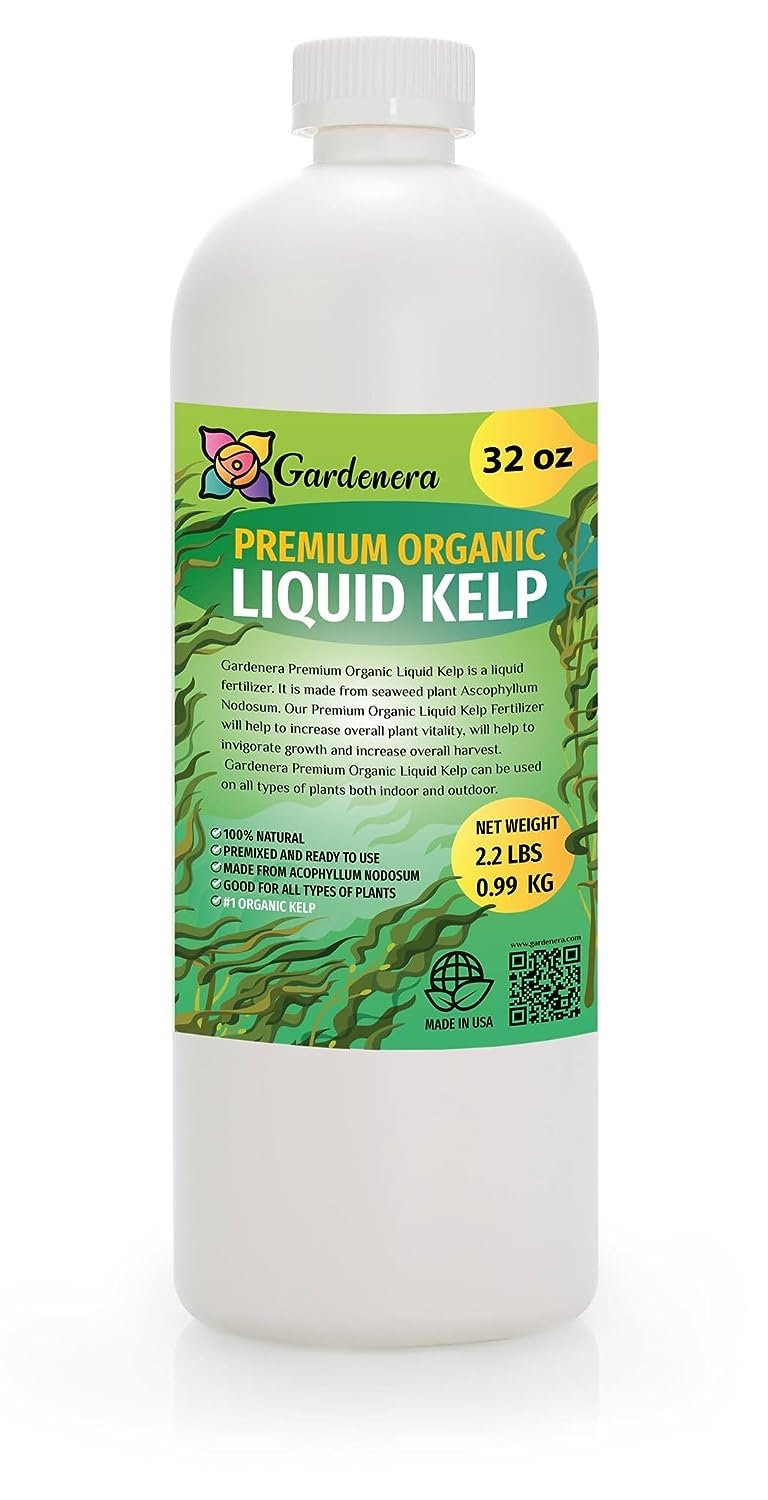 Liquid kelp sale