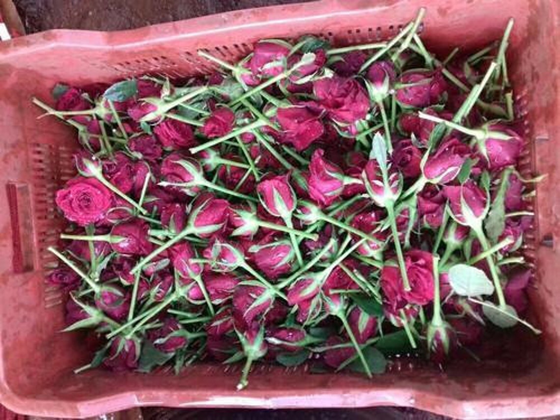 Rose Water Bulk 128 Oz 1 Gallon Wholesale Floral Water Vegan Etsy