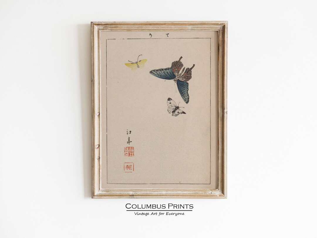 Antique Japanese Butterfly Drawing Living Room Decor Warm Etsy