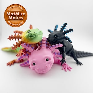 Axolotl articulé imprimé en 3D - 10 pouces, 8,5 pouces et 7 pouces - Flexi Axolotl