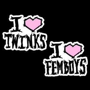 I Heart Twinks/Femboys Vinyl Sticker: Funny Gay Pride Gift