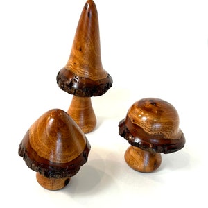 Grillige houten tafelpaddestoel. Perfect voor het toevoegen van plezier aan de decoratie thuis of op kantoor. Unieke ontwerpen met de hand gedraaid van geüpcycled hout.