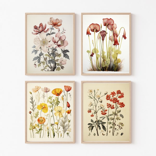 Botanical Prints, set botanical prints, wild flowers print, wall art, home decor, , vintage botanical prints, digital download, set of four