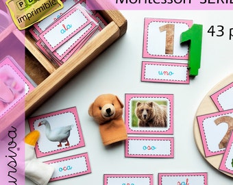 Cartões de Leitura Montessori em Espanhol, Palavras CVC, Série Rosa (Download Digital)