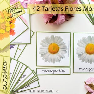 Spanish Flowers Three Part Cards, Montessori Cards, Spanish Flash Cards, Educational Material, Printable, Cursive.