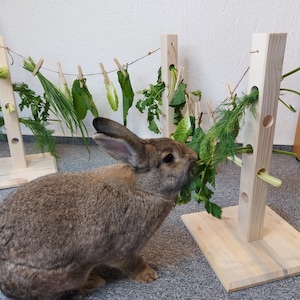 Futterleine für Kaninchen spielzeug für Kaninchen zubehöhr für Kaninchen