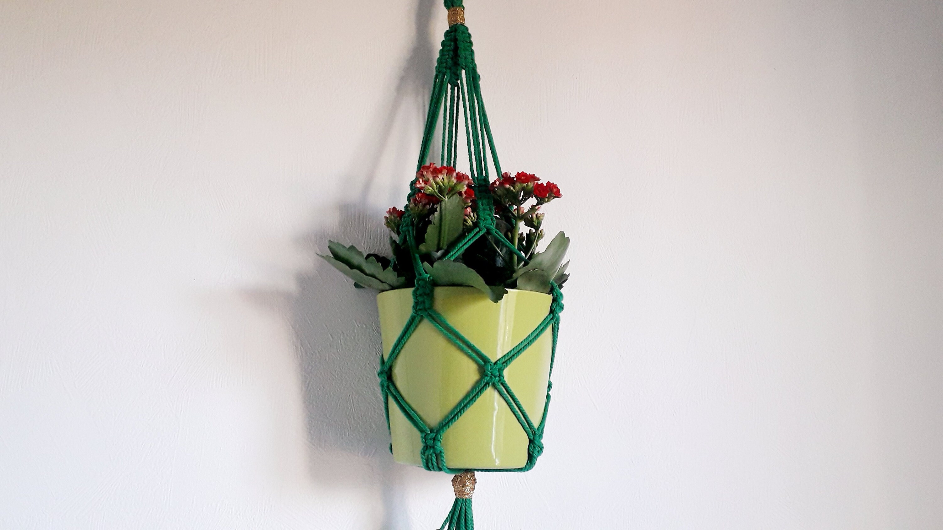 Cintre Végétal en Macramé Vert, Décoration Intérieure Macramé