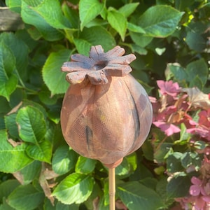 Scatola di semi di papavero in ceramica fatta a mano – Decorazione da giardino marrone rossastro
