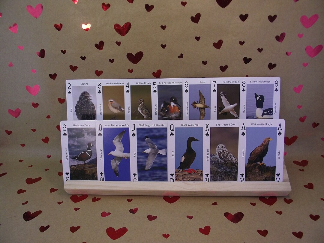 Birds of Iceland Laminated Playing Cards birds OF Iceland Made by