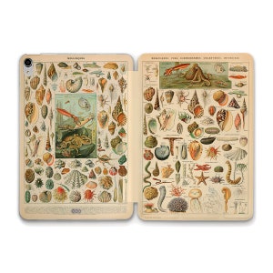 Può includere: Un'illustrazione vintage di varie creature marine, tra cui molluschi, echinodermi e celenterati. L'illustrazione è divisa in due sezioni, con il lato sinistro che mostra una varietà di conchiglie e il lato destro che mostra una varietà di creature marine, tra cui stelle marine, ricci di mare e meduse. L'illustrazione è stampata su uno sfondo marrone chiaro.