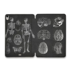 May include: A black and white anatomical illustration of the human skeleton and brain. The image is on a dark gray background.