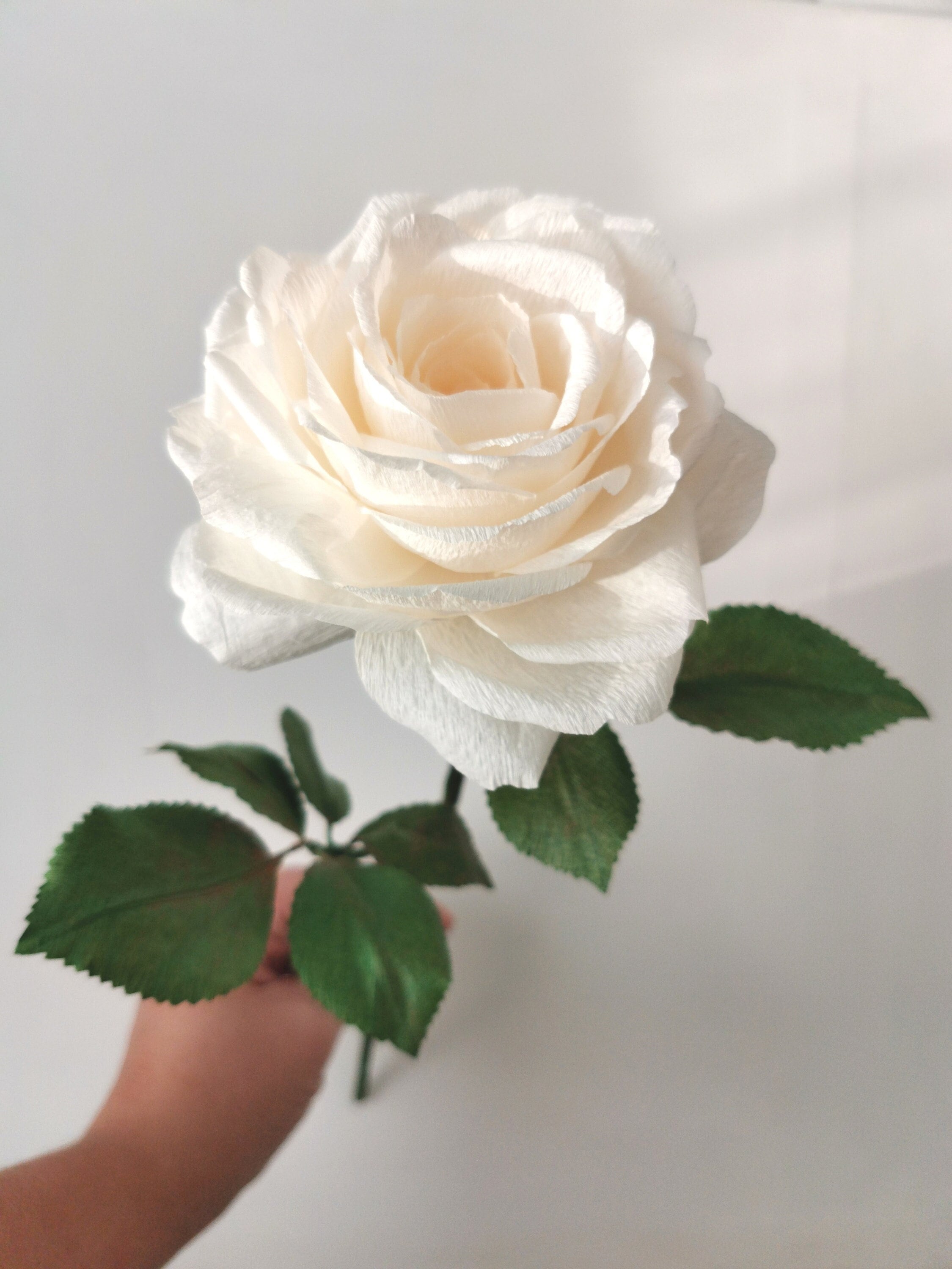 Crepe paper roses with stem, gift for anniversary, birthday, Valentine's Day, Mother's Day, home deco