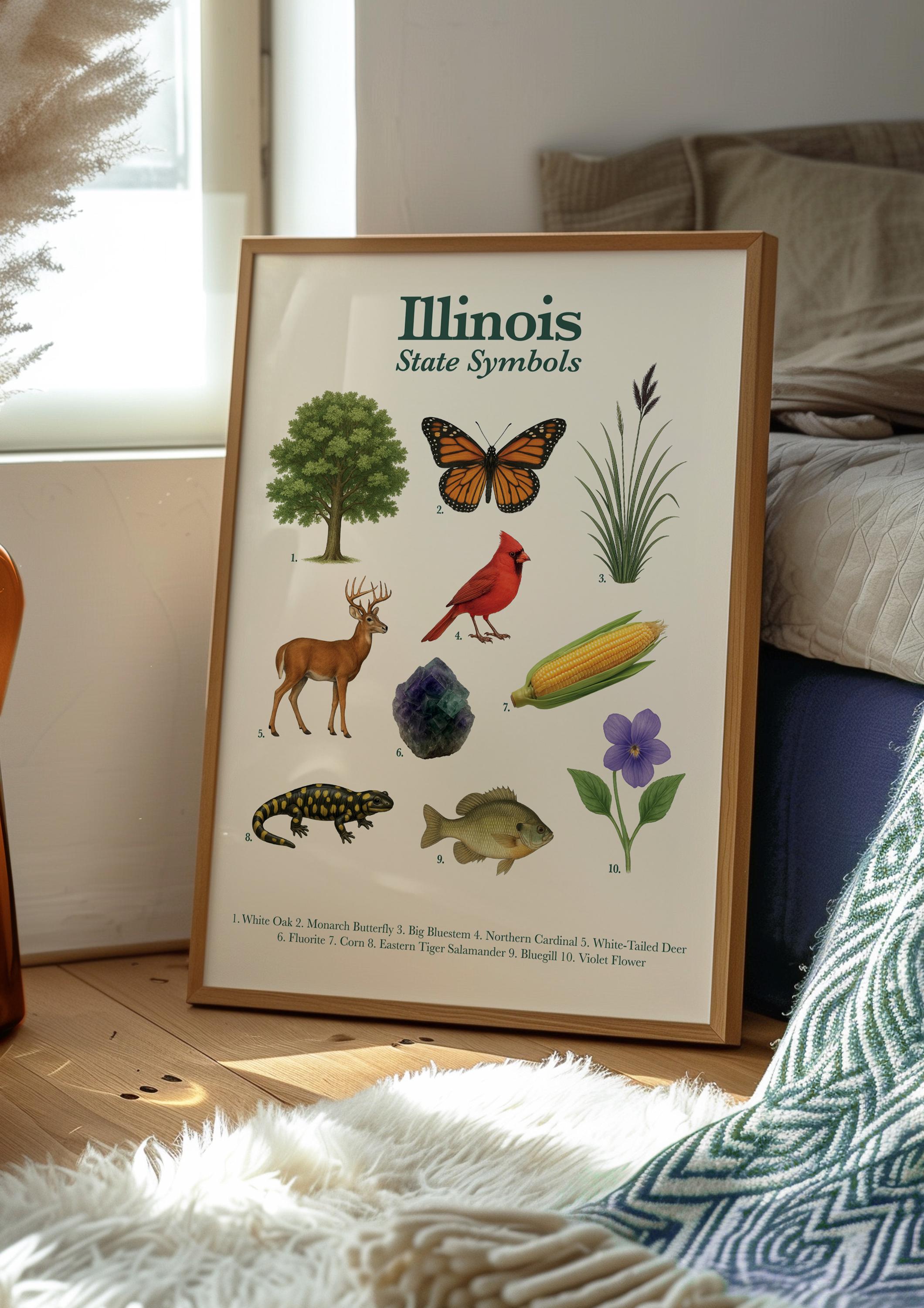 Illinois State Symbols Poster — Vintage Educational Wildlife Print - Etsy