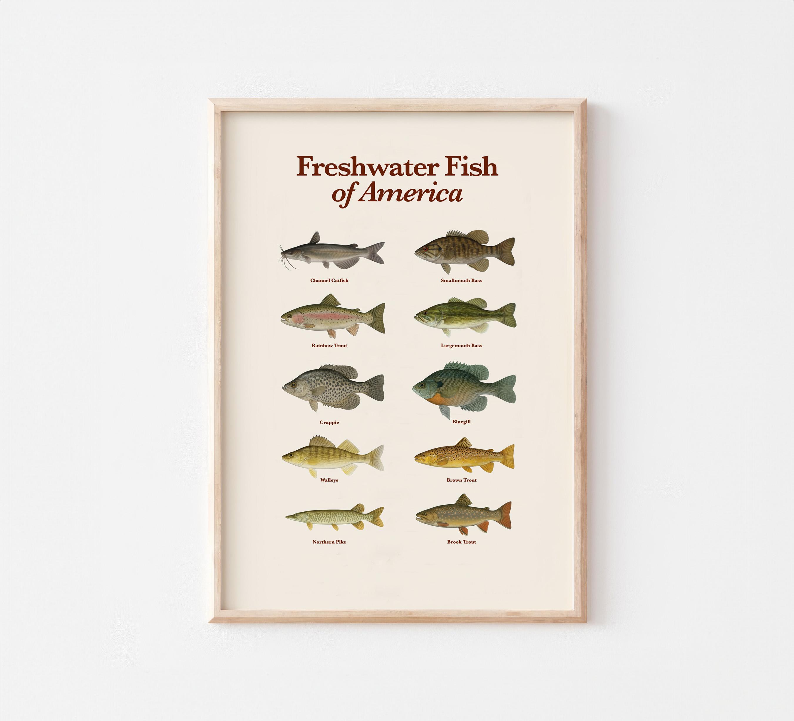 Buy Angles Chart Online In India India