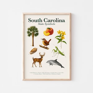 South Carolina State Symbols Poster Educational Wall Art  Nature Print for Kids Digital Download Illustrated USA States Series